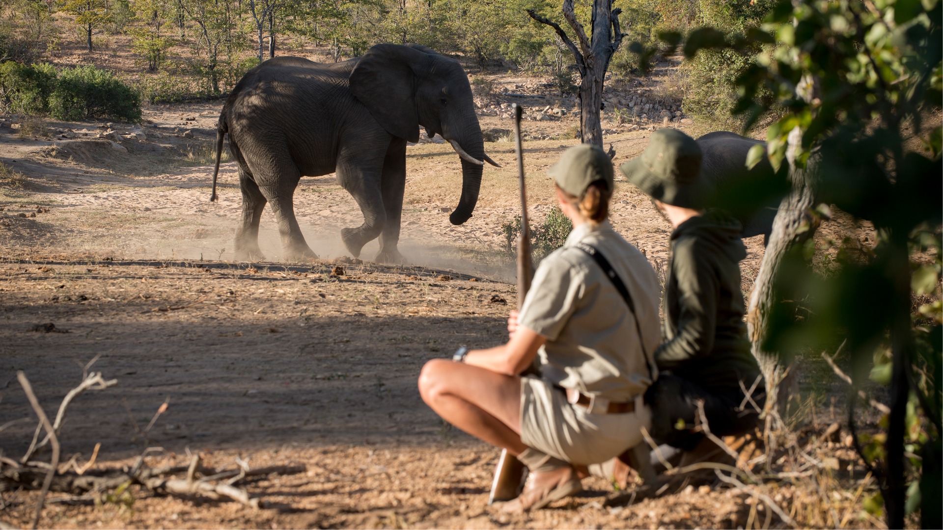 WALKING SAFARIS