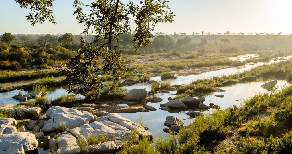 sabi-sands-game-reserve-travel-information