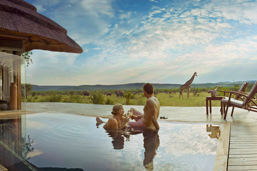 D246-trip-south-africa-couple-elephants-giraffe-pool-luxury-safari-900x600