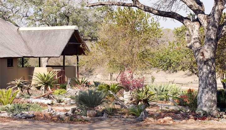 Jacis-Sabi-House-Garden