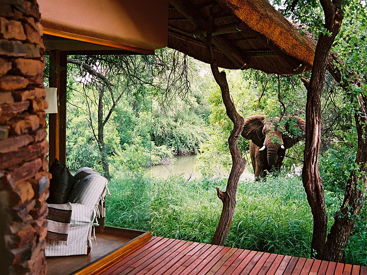 largest_sanctuary_makanyane_safari_lodge_-_elephant_outside_suite