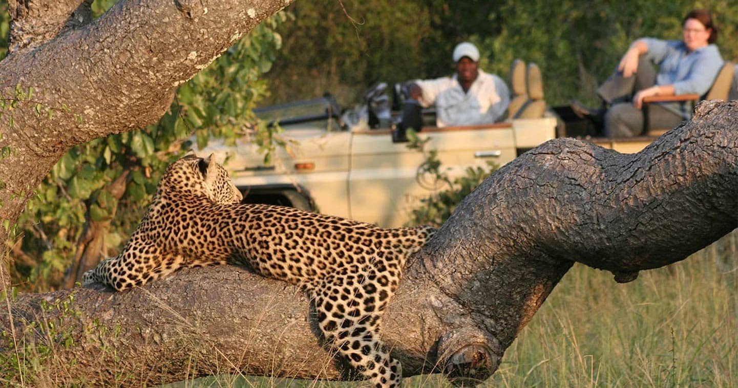 private-game-reserve-tintswalo