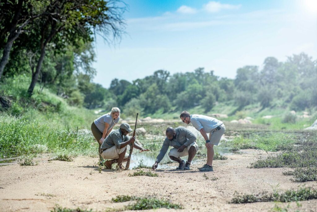 simbavati-trails-camp-walking-safari-23